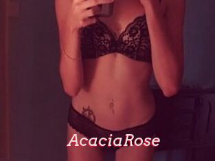 AcaciaRose