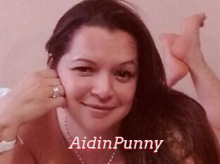 AidinPunny
