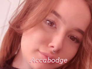 Accabodge