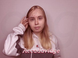 Accadavidge