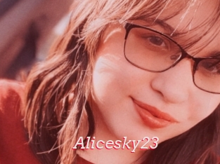 Alicesky23