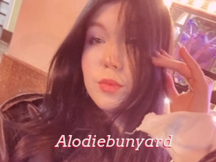 Alodiebunyard