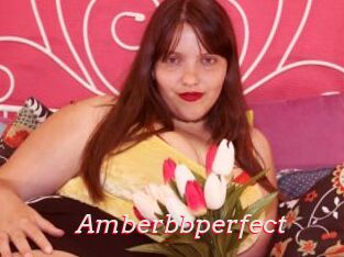 Amberbbperfect