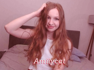 Amilycat