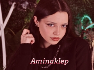 Aminaklep