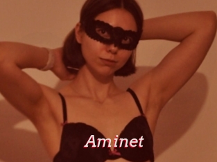 Aminet