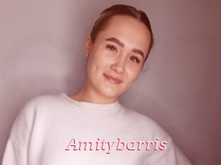 Amitybarris