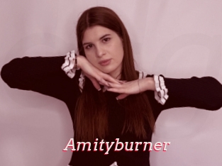 Amityburner