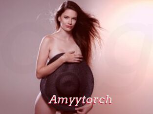 Amyytorch