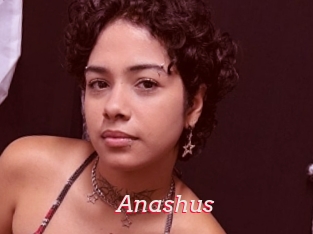 Anashus