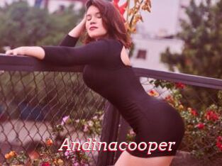 Andinacooper