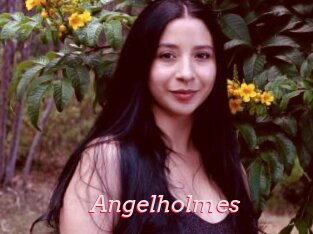 Angelholmes