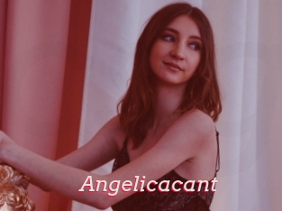 Angelicacant