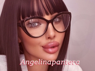 Angelinapantera