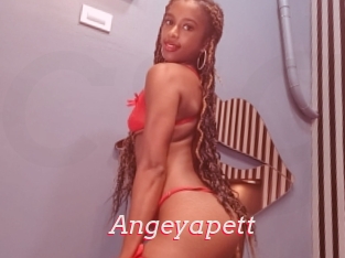 Angeyapett