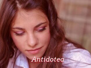 Antidotea