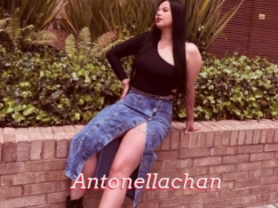 Antonellachan