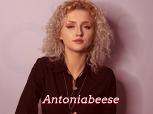 Antoniabeese