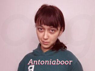 Antoniaboor