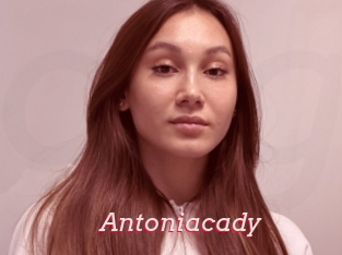 Antoniacady