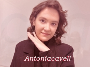 Antoniacavell