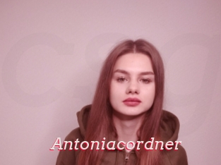 Antoniacordner