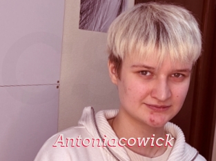 Antoniacowick