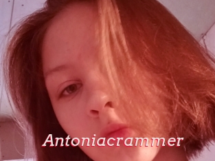 Antoniacrammer