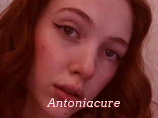 Antoniacure