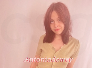 Antoniadowey