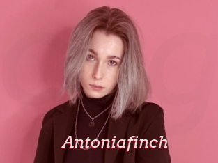 Antoniafinch