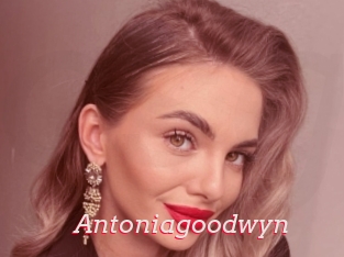 Antoniagoodwyn