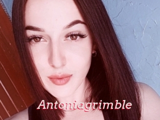 Antoniagrimble