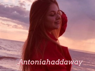 Antoniahaddaway