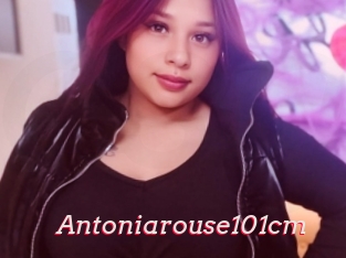 Antoniarouse101cm