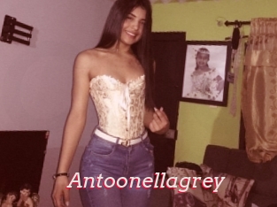 Antoonellagrey