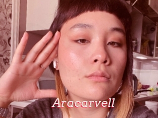 Aracarvell