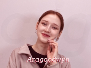 Aragoodwyn