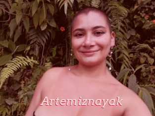 Artemiznayak