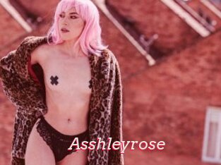 Asshleyrose