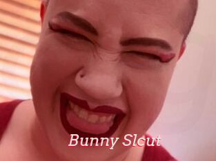 Bunny_Slcut