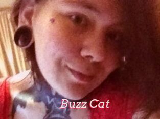 Buzz_Cat