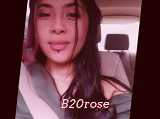 B20rose