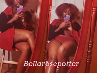 Bellarosepotter