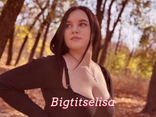 Bigtitselisa