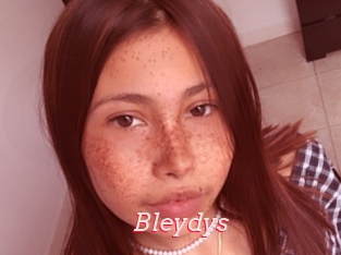 Bleydys
