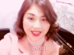 Bosai