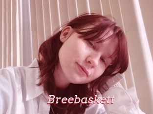 Breebaskett