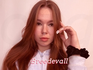 Breedevall