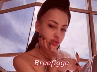 Breefigge